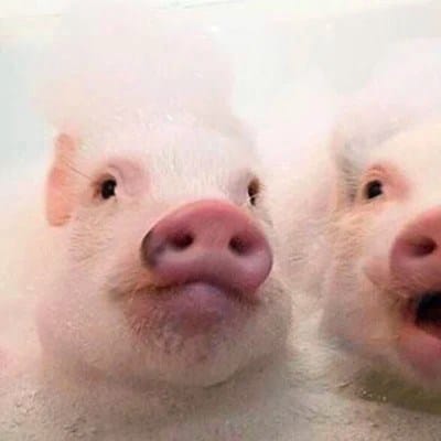 กรกช วิริยอุดมศิริ avatar