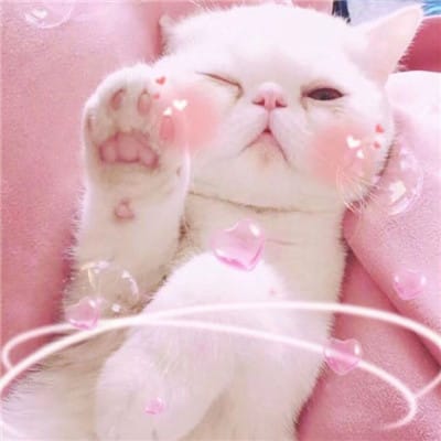 กาญจนา โปรดี avatar