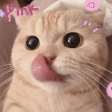 พิมพ์ใจ เล่นง่าย avatar