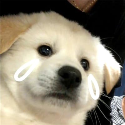 สมชาย นักเดิมพัน avatar